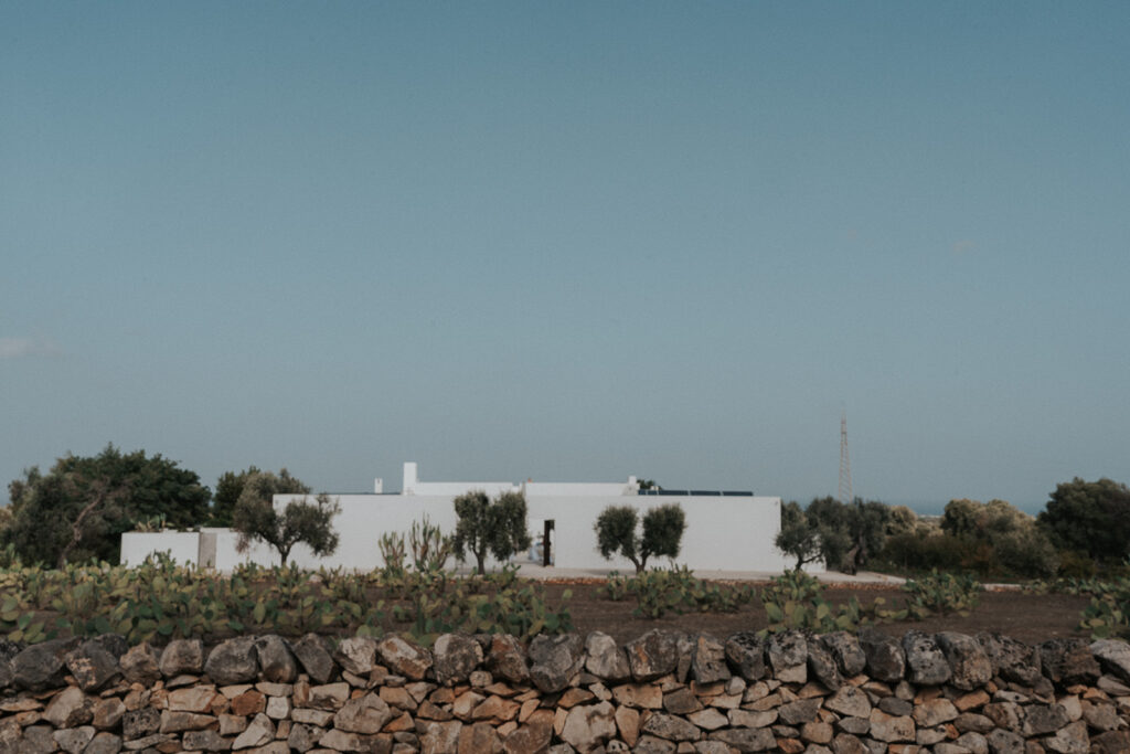 White modern masseria surrounded by olive trees and cactus fields at Masseria Moroseta in Puglia, Italy, under a wide blue sky.