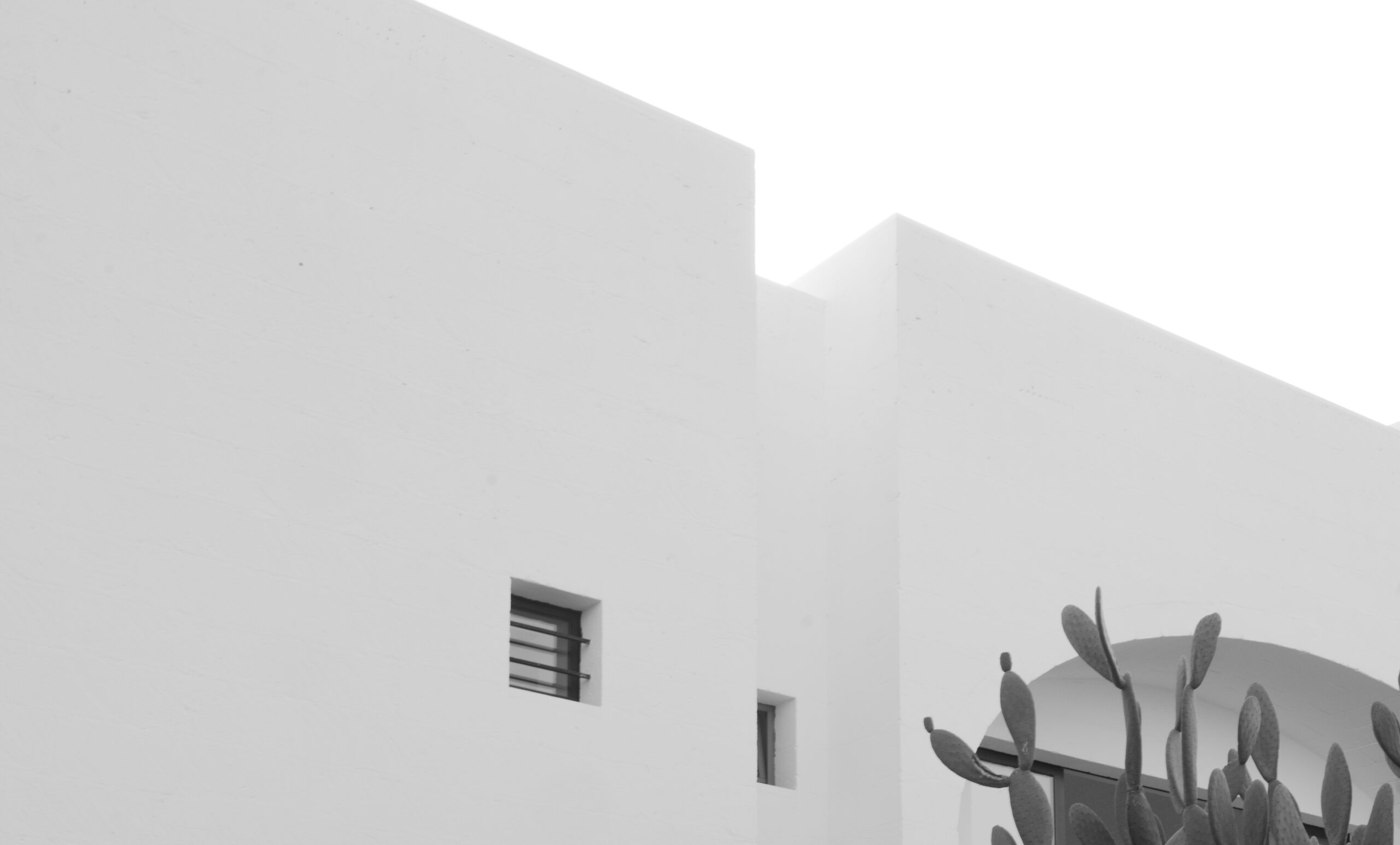 White minimalist architecture with small window and cactus at Masseria Moroseta in Puglia Italy